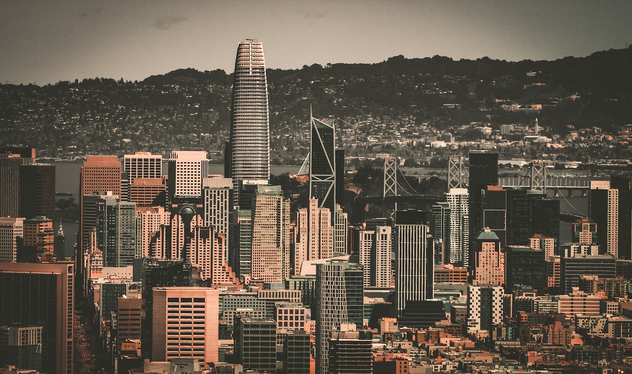 结合国际知 结合国际知