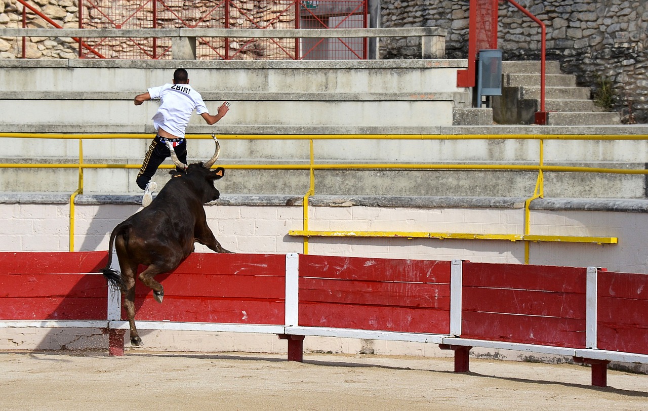 飞跃
