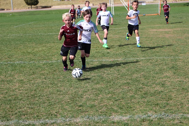 的硬实力 的硬实力