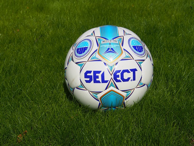 仿佛在告诉 仿佛在告诉