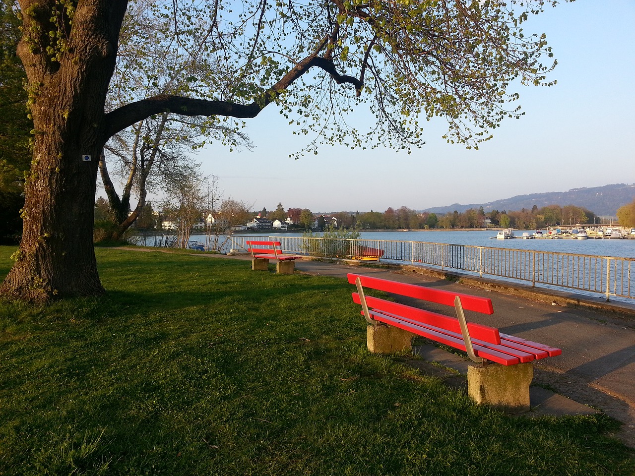 仿佛在告诉 仿佛在告诉