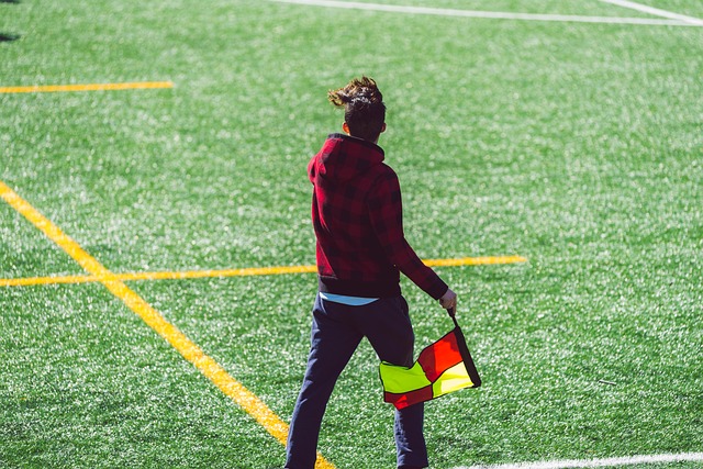 他在自由式 他在自由式