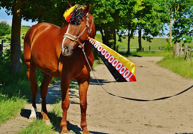 快速转换 快速转换