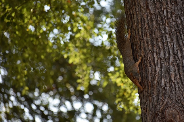 Opta英超预测：曼彻斯特双雄本轮获胜概率均不超五成.