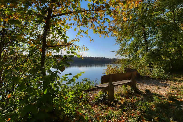 CBA常规赛前瞻：北京控股VS福建晋江文旅，北京控股能够冲击季后赛？.
