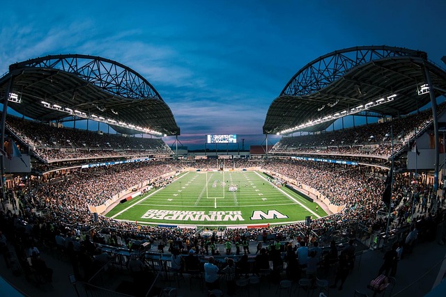 球证明了他 球证明了他