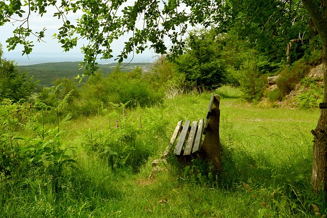 追光丨冠军谁属？变革何在？——中超新赛季看点请查收.